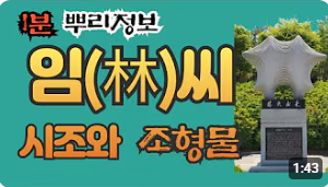 임씨(林氏) 시조와 조형물 1분 뿌리정보
