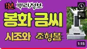 봉화 금씨(奉化琴氏) 시조와 조형물 1분 뿌리정보